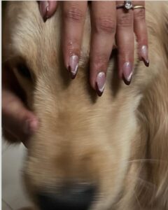 HOLIDAY HUNGAMA Nails