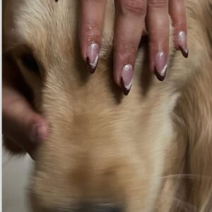 HOLIDAY HUNGAMA Nails
